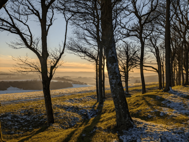 Walking At Ashdown Forest Discover Sussex