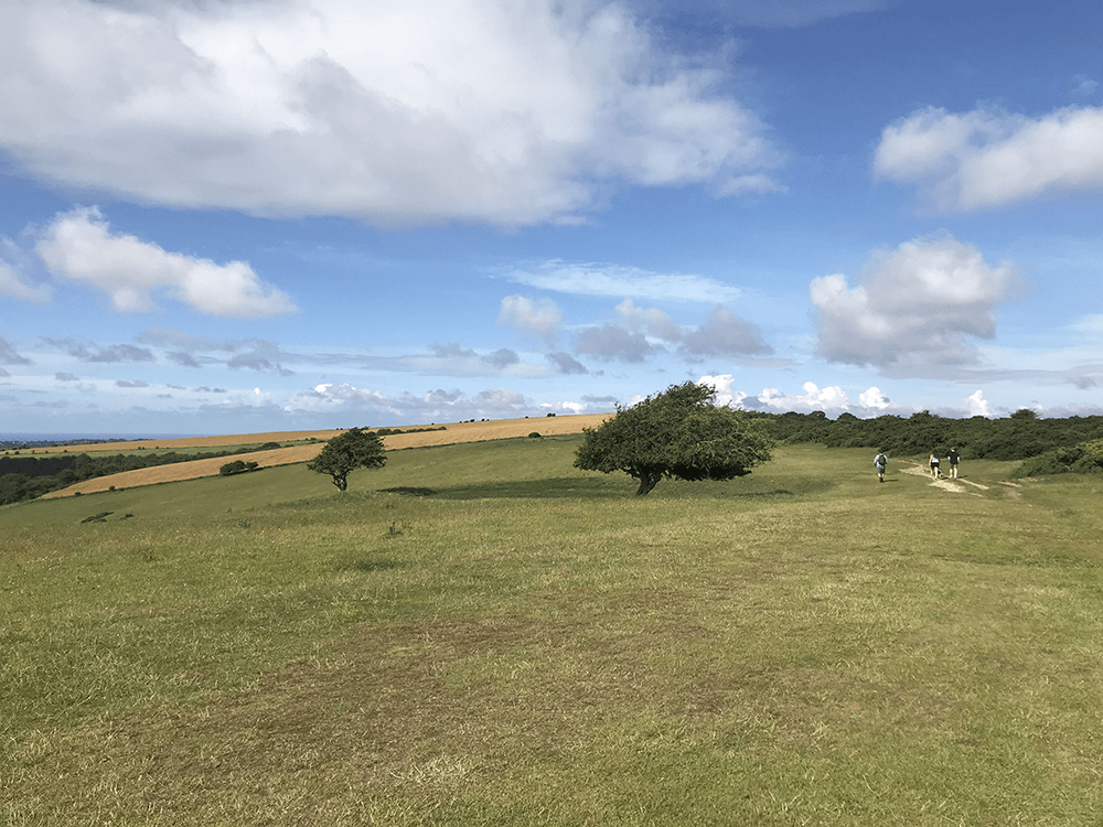 ditchling beacon