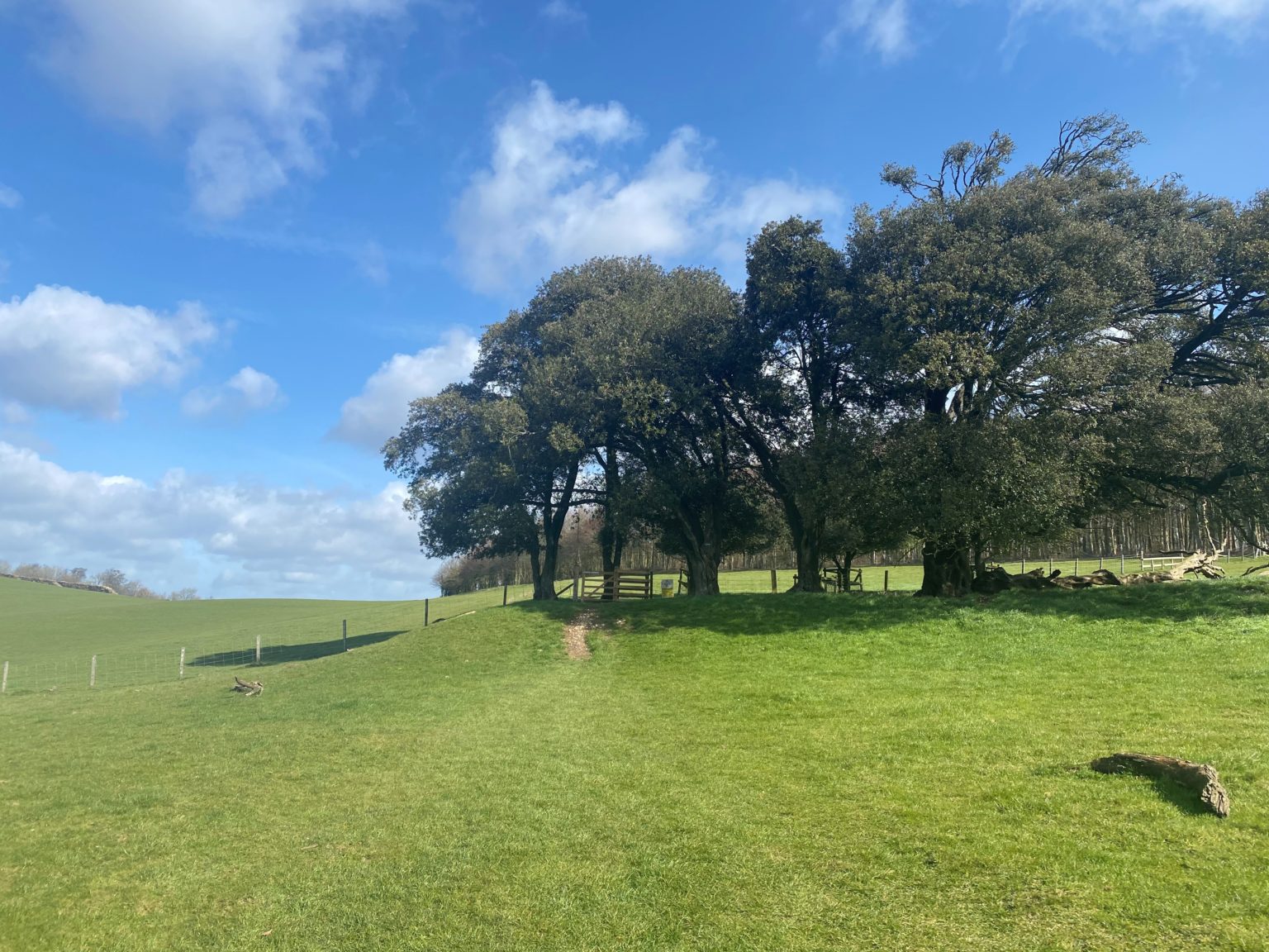 Arundel Park Walk | Circular Walk Around Arundel & River Arun