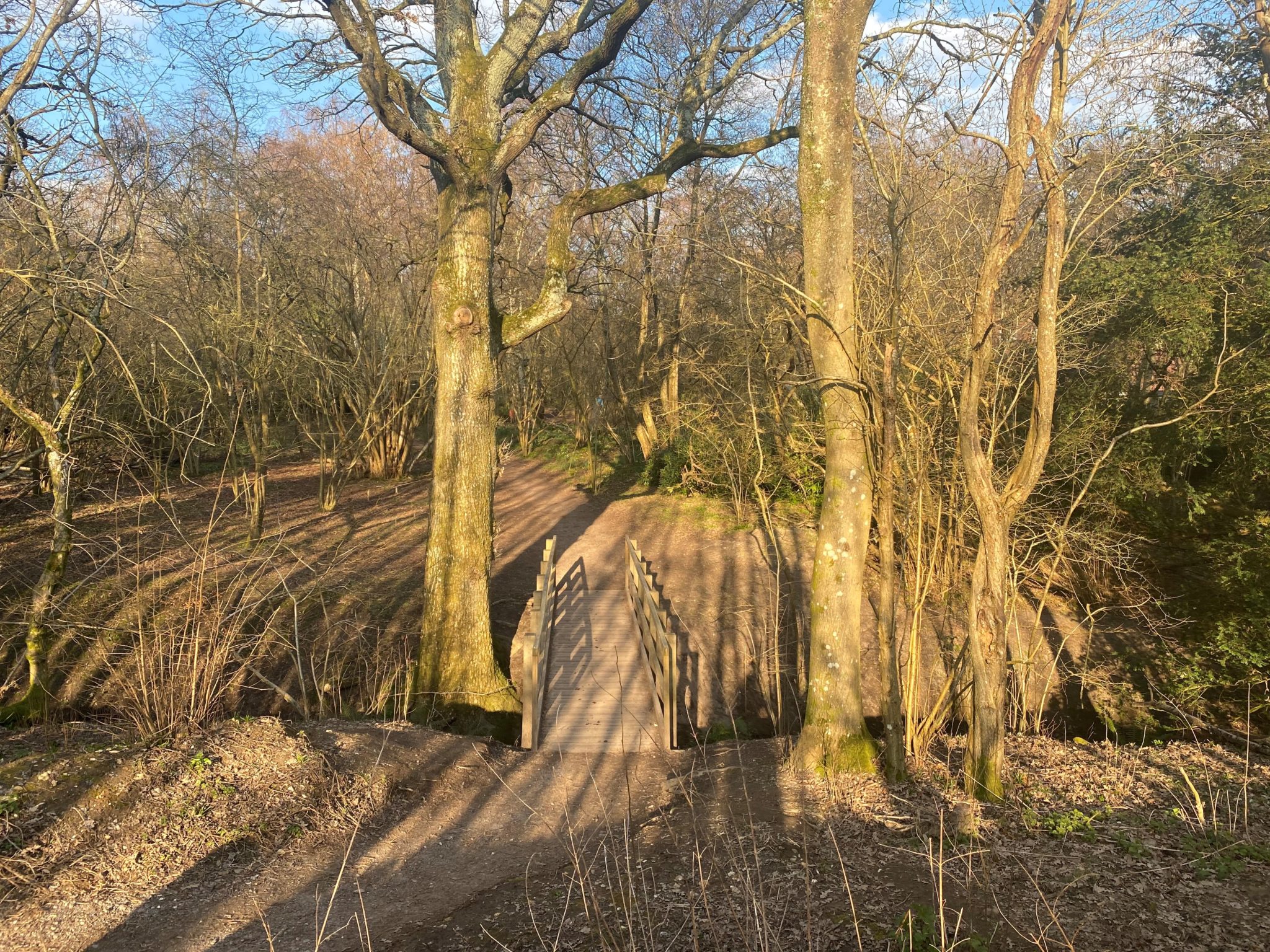 Sandgate Park Walk - Discover Sussex