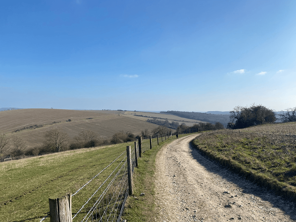 South downs view