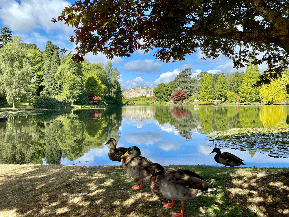 Sheffield Park