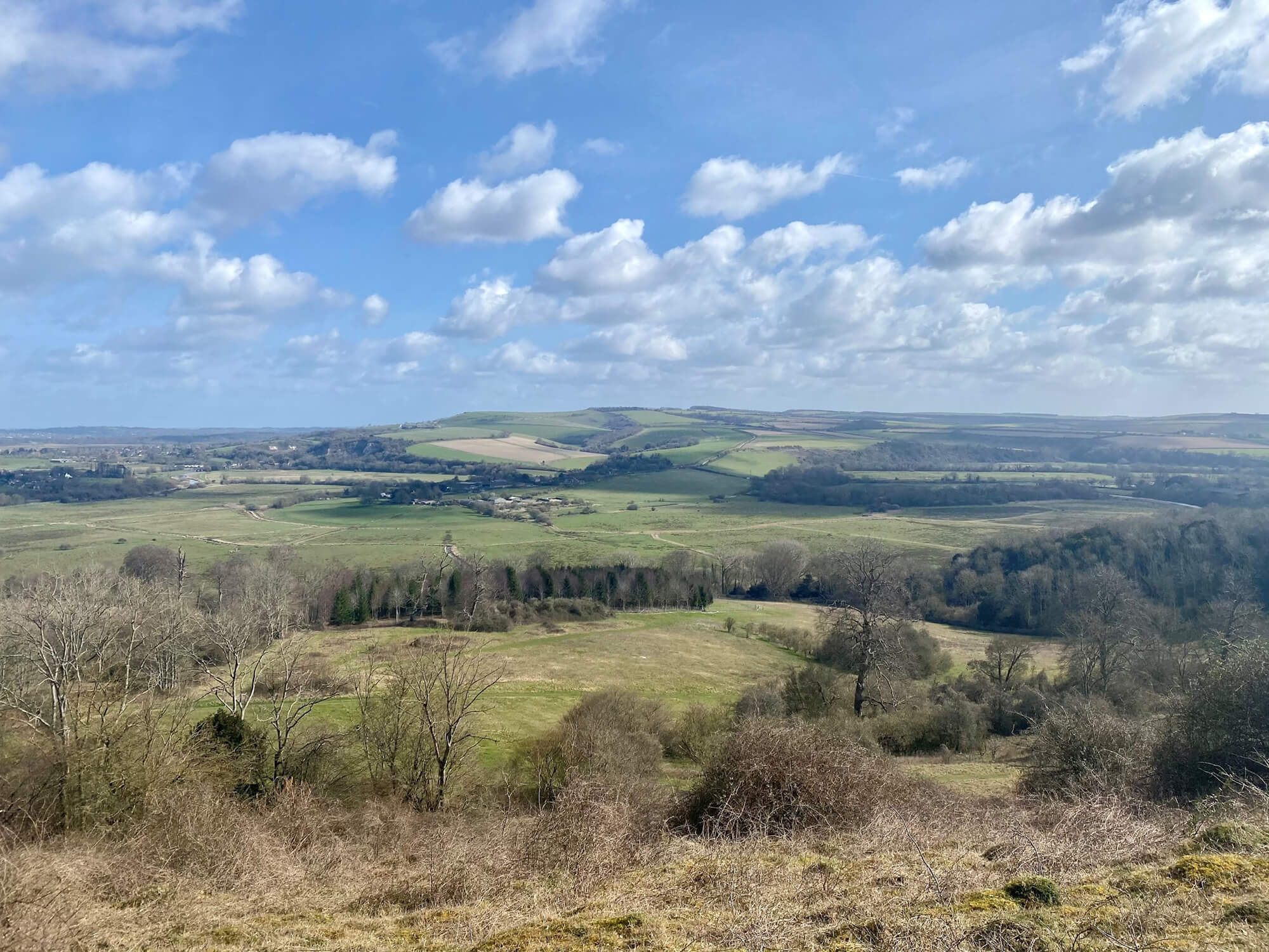 Arundel Park