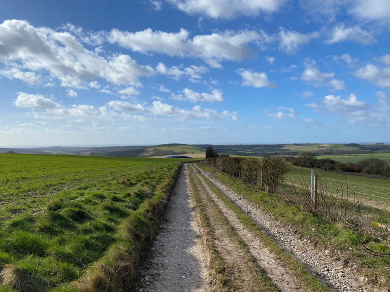 South Downs Way Guide Walking The South Downs Way   Chantry Post Thumbnail 768x576 