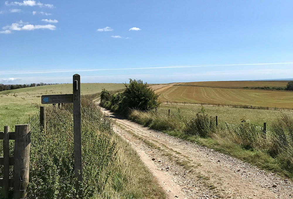 steyning south downs walk