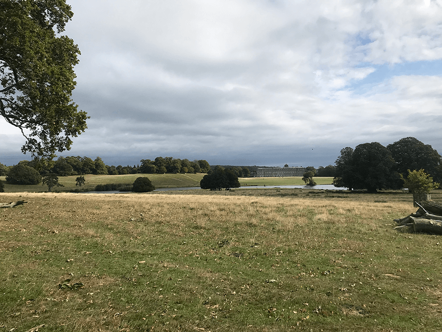 Petworth Park Discover Sussex