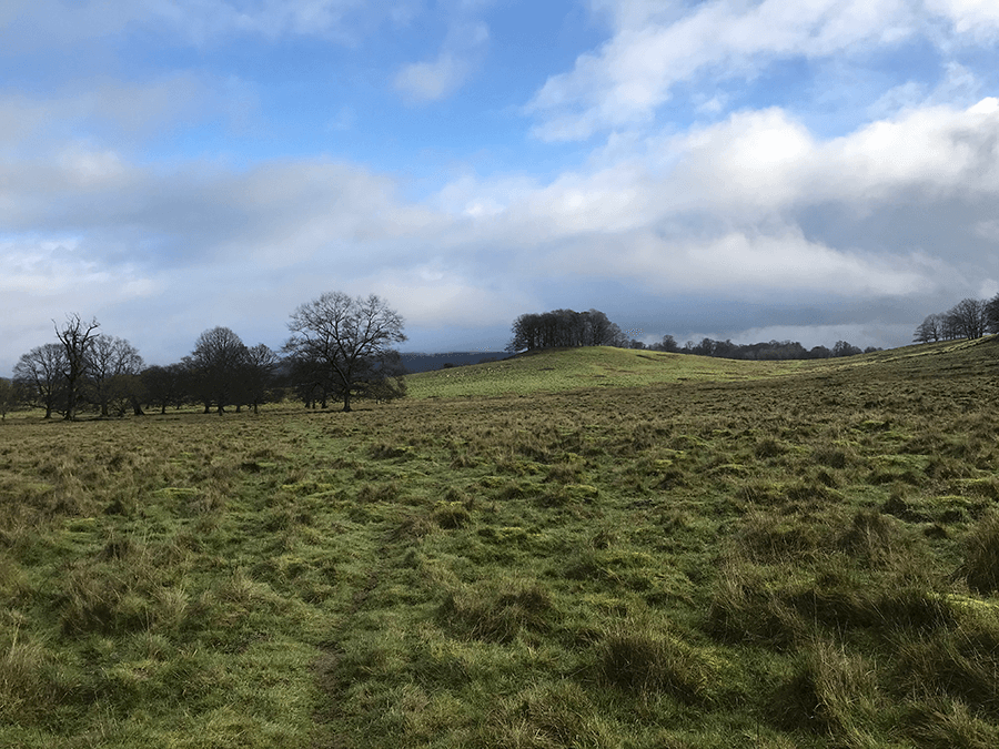 Petworth Park Discover Sussex