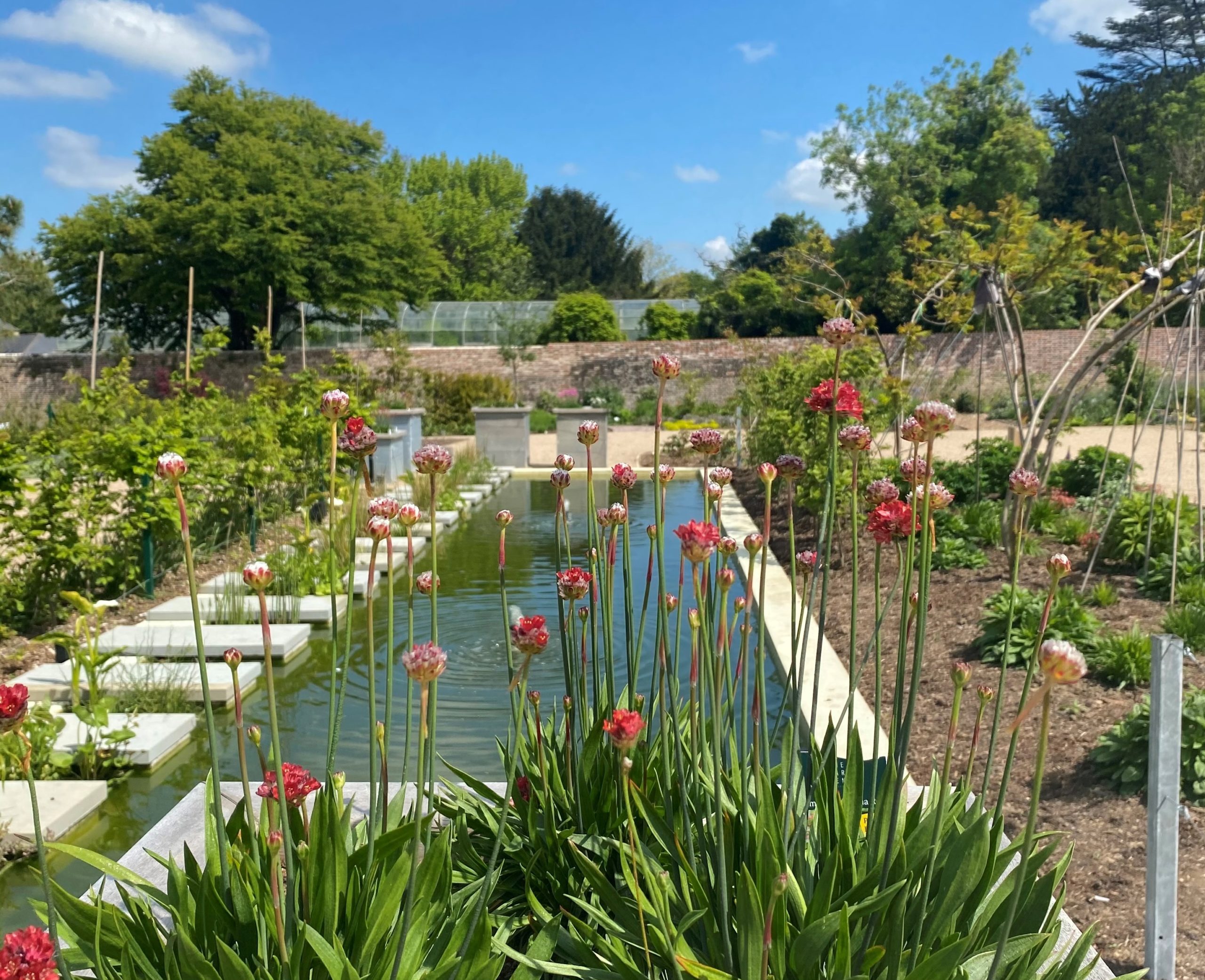 A Day Out to One Garden Brighton I Stanmer Park