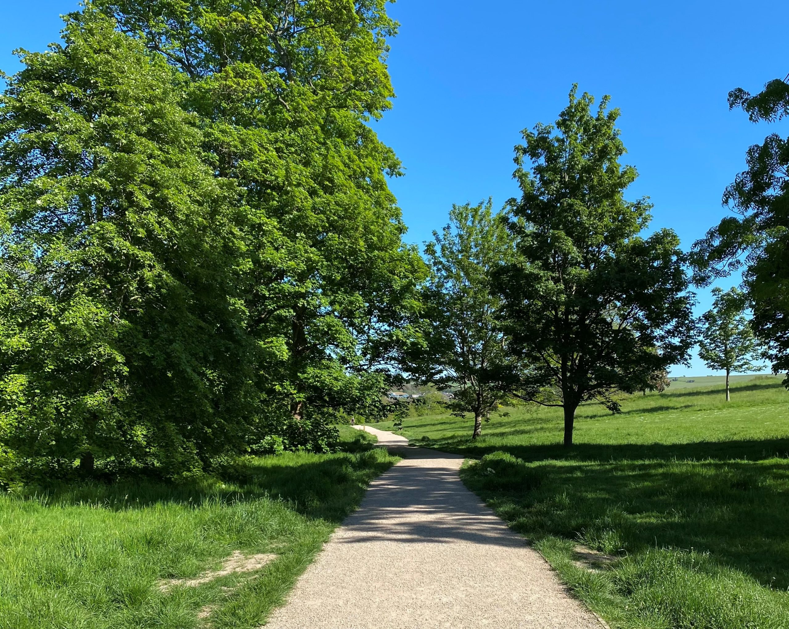 stanmer park one garden - Anjelica Certalich