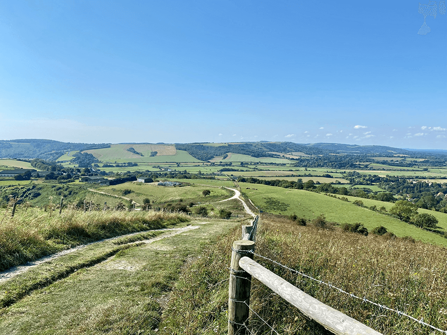 south downs way