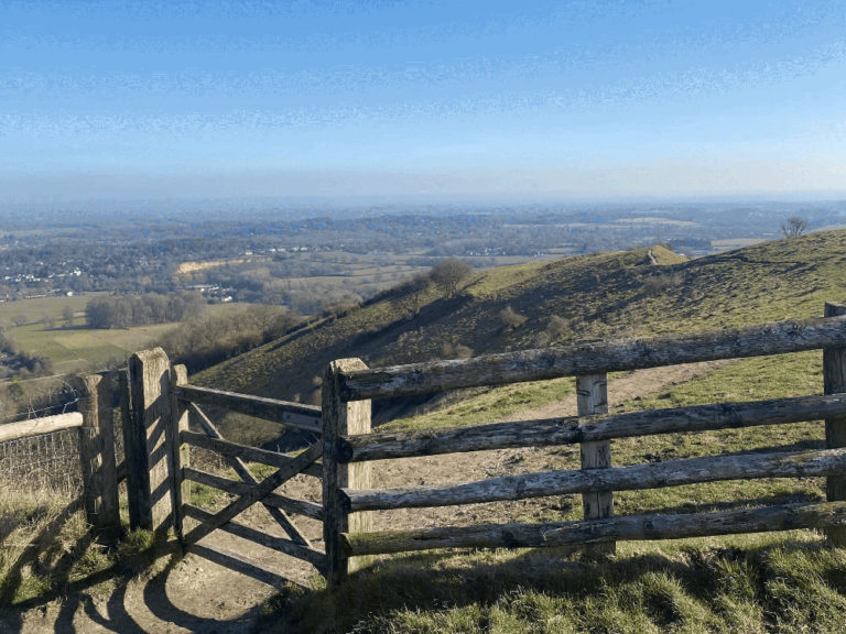 cycling the south downs way