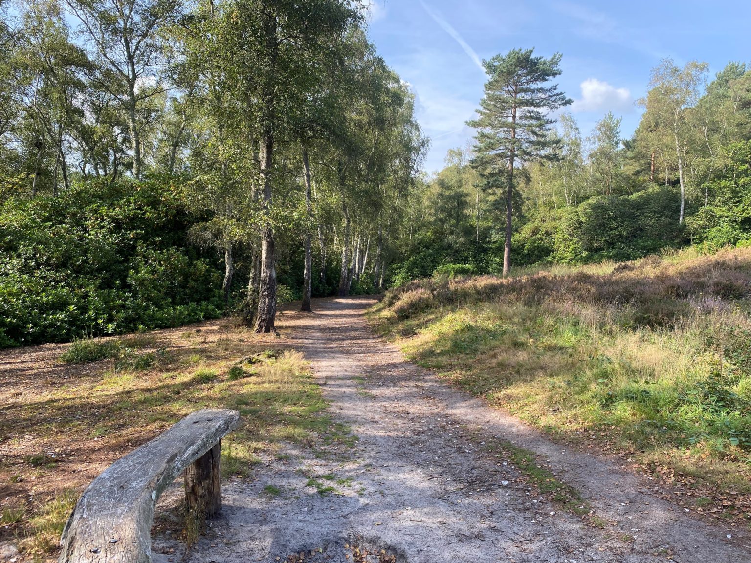 Sandgate Park Walk Fairy Bridge Walk Storrington