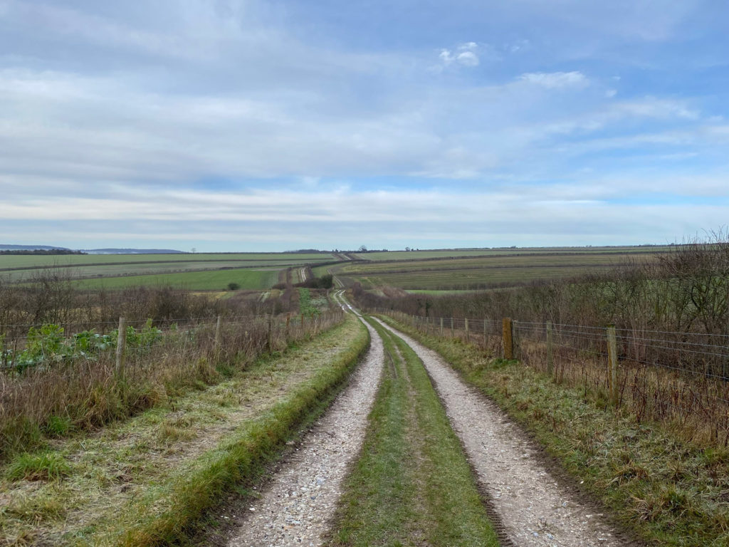 kithurst hill south downs way