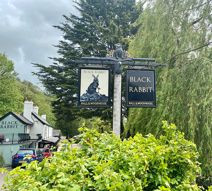 black rabbit arundel