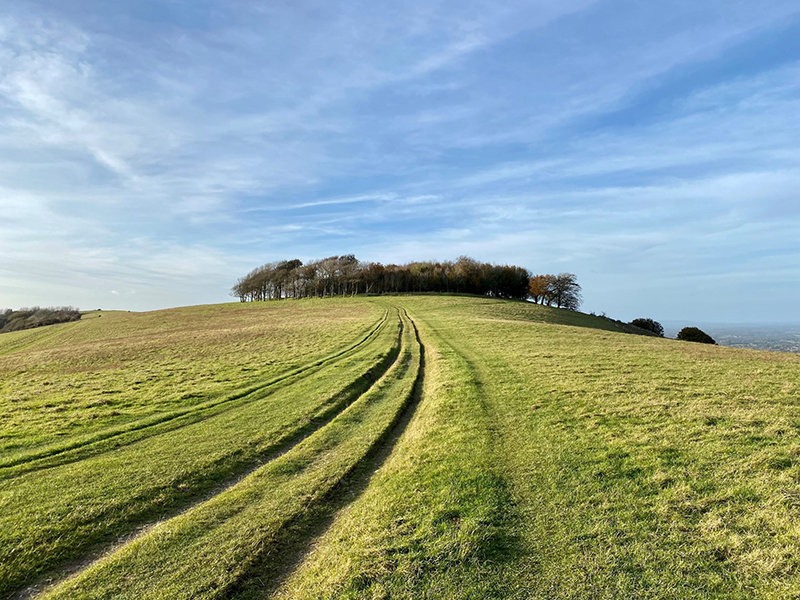 chanctonbury ring thumb