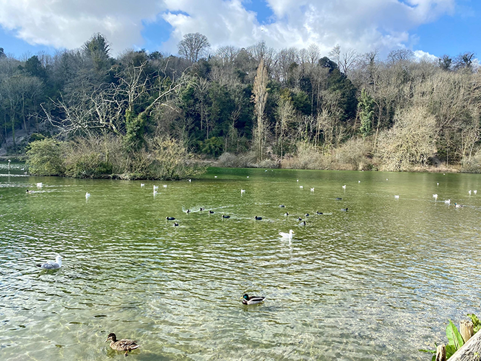 swanbourne lake