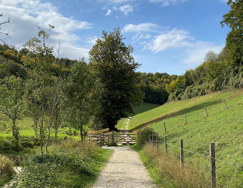 Swanbourne Lake Walk gate