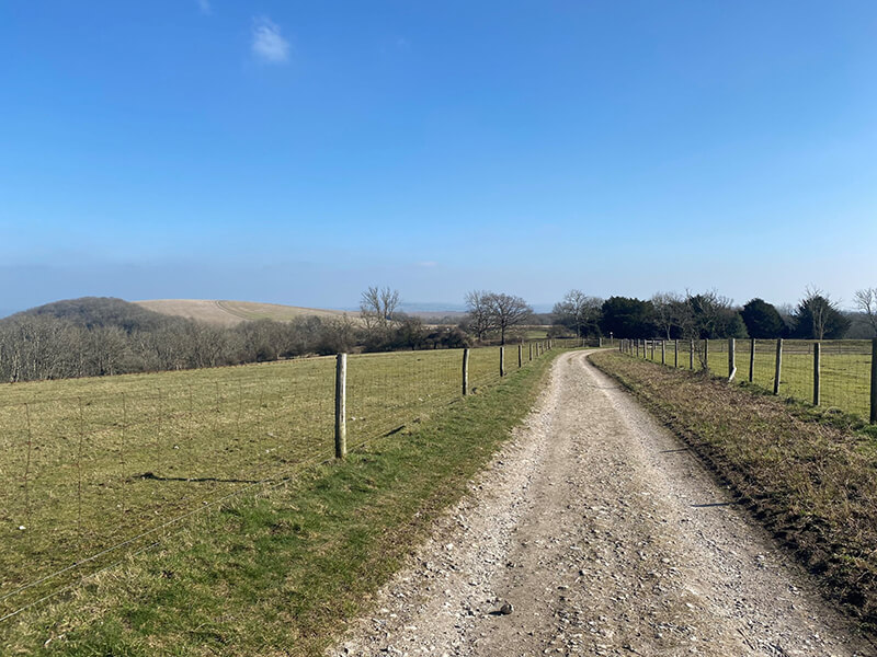 bignor hill south downs