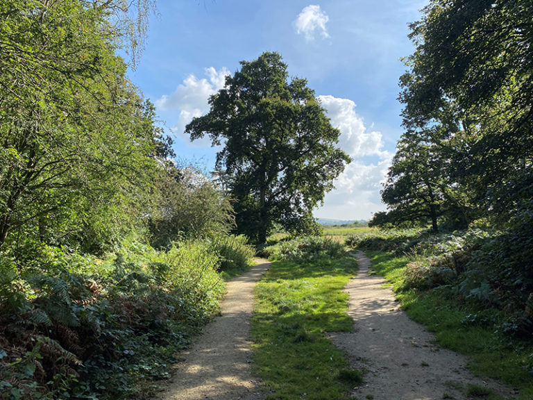 Sandgate Park Walk Fairy Bridge Walk Storrington