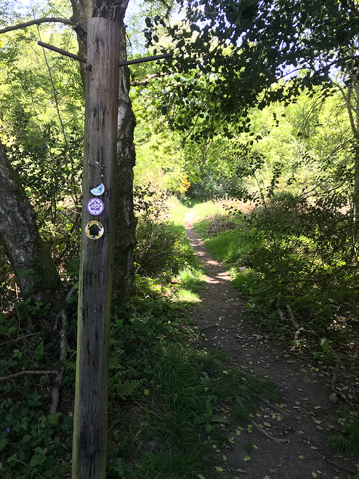 woolbeding common midhurst signpost