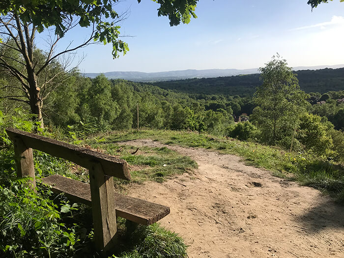 woolbeding common view