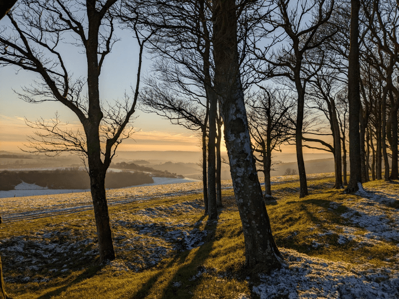 chanctonbury ring with snow