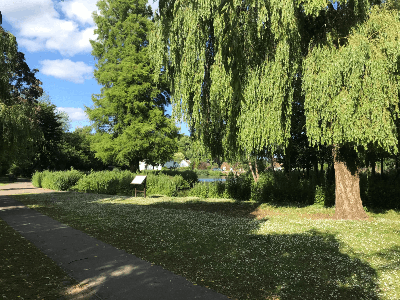 midhurst pond