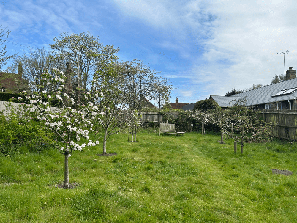 ditchling orchards (