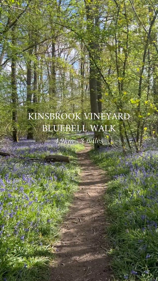 Walk the Serpent Trail | Surrey, Hampshire & Sussex Walk the Serpent Trail | Surrey, Hampshire & Sussex
